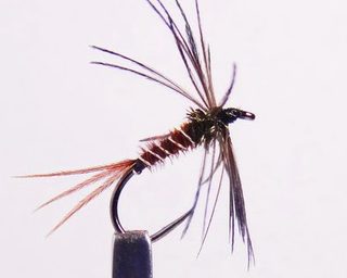 midge sakasa kebari