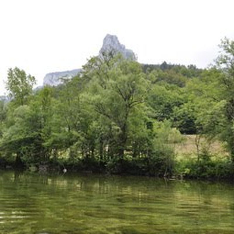 tenkara guide