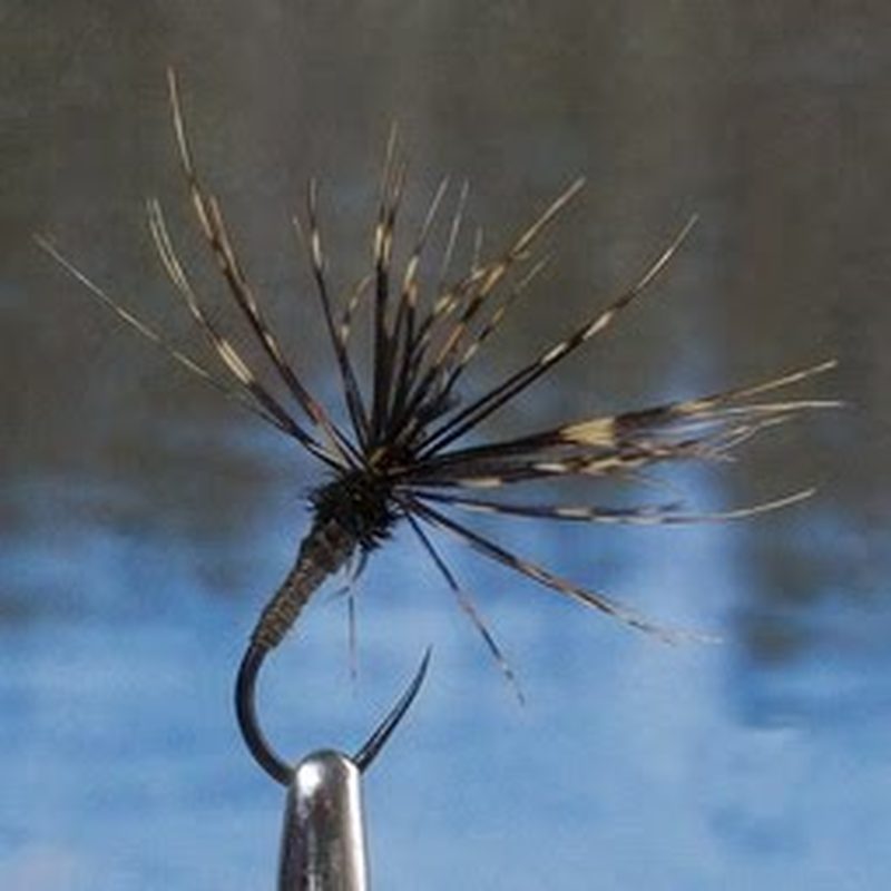 Tenkara angler Oleg Stryapunin