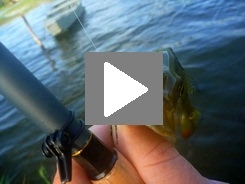 tenkara in Brazil