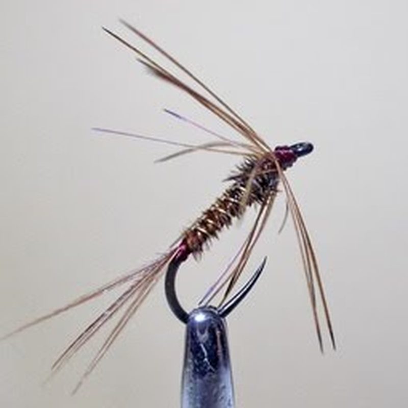 Misako Ishimura with TryTenkara rod