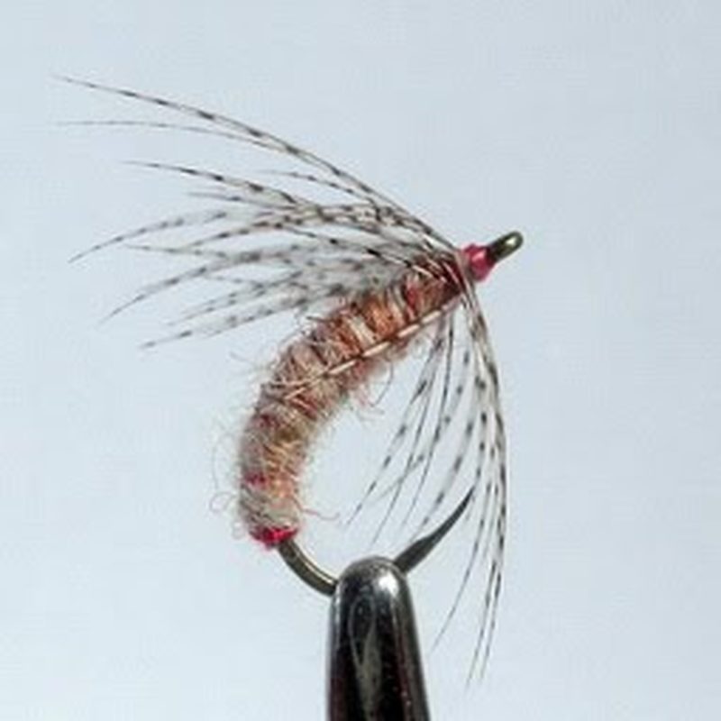 Tenkara fishing at Kokra river