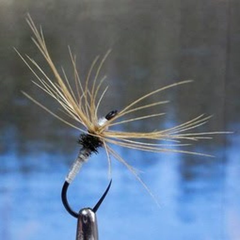 tenkara sling lite