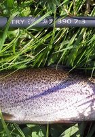Area fishing map